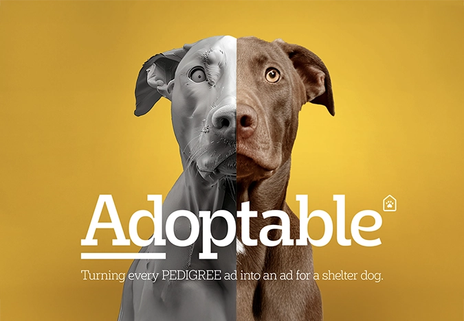 ‘Adoptable’ from Colenso BBDO Wins AUNZ’s First-Ever Immortal Awards image